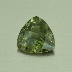 LightGreenTourmaline ch trill 16.0x15.5mm 10.57cts N tm1190