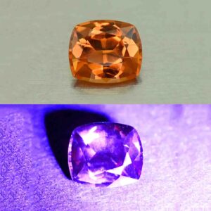 MalayaDragonGarnet cush 5.7x5.0mm 0.67cts N ma383 combo UV 