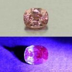 MalayaDragonGarnet cush 7.7x6.0mm 2.00cts N ma388 combo UV