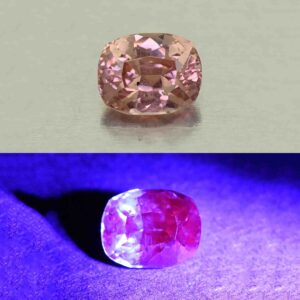 MalayaDragonGarnet cush 7.7x6.0mm 2.00cts N ma388 combo UV