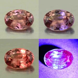 MalayaDragonGarnet oval 10.0x7.0mm 2.49cts N ma396 combo All scaled 1