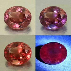 MalayaDragonGarnet oval 11.6x9.8mm 6.12cts N ma414 comboAll