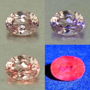 MalayaDragonGarnet oval 6.0x4.4mm 0.69cts N ma468 combo All