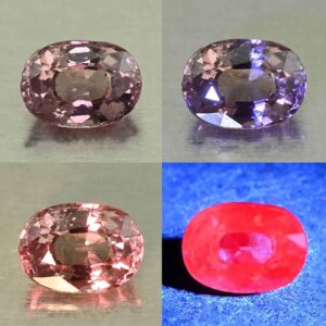 MalayaDragonGarnet oval 7.1x5.2mm 1.23cts N ma471 combo All