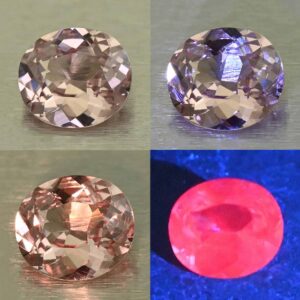 MalayaDragonGarnet oval 7.2x6.3mm 1.25cts N ma486 comboAll