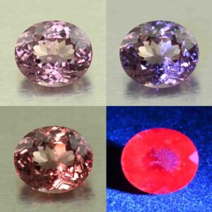 MalayaDragonGarnet oval 7.4x6.3mm 1.45cts N ma433 comboAll