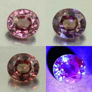 MalayaDragonGarnet oval 8.4x7.6mm 2.94cts N ma393 combo All scaled 1