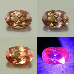 MalayaDragonGarnet oval 8.6x5.7mm 1.78cts N ma394 combo All