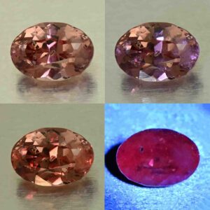 MalayaDragonGarnet oval 8.9x6.2mm 2.43cts N ma413 comboAll
