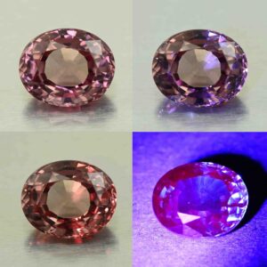 MalayaDragonGarnet oval 9.6x7.8mm 3.46cts N ma395 combo All scaled 1