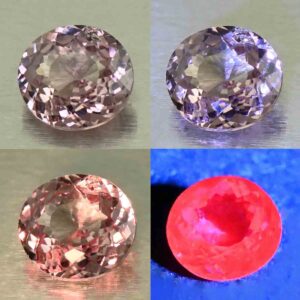 MalayaDragonGarnet roval 6.0x5.5mm 0.78cts N ma476 combo All