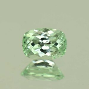 MintGrossular cush 7.0x5.0mm 1.04cts N mg513
