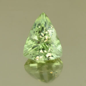 MintGrossular drop trill 11.1x9.0mm 3.67cts N mg159