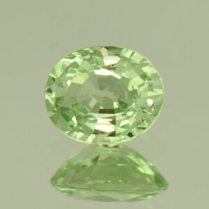 MintGrossular oval 7.0x5.7mm 1.10cts N mg445