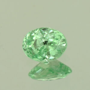 MintGrossular oval 7.2x5.6mm 1.06cts N mg539