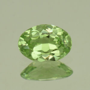 MintGrossular oval 8.2x5.8mm 1.19cts N mg449