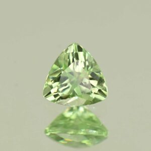 MintGrossular trill 5.5mm 0.69cts N mg531