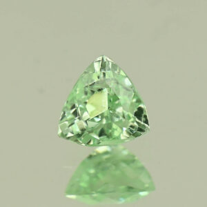 MintGrossular trill 6.1mm 1.04cts N mg547
