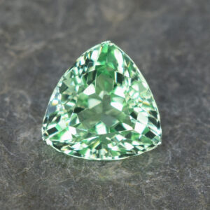 MintGrossular trill 8.9mm 2.83cts N mg198 crop SOLD