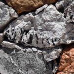 Oceanview Mine CA 2017-06 13
