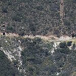 Oceanview Mine CA 2017-06 8