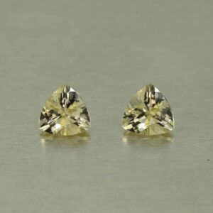 Scapolite trill pair 5.0mm 0.76cts N sc188