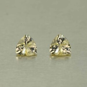 Scapolite trill pair 5.5mm 1.01cts N sc192