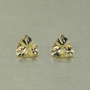 Scapolite trill pair 6.0mm 1.23cts N sc200