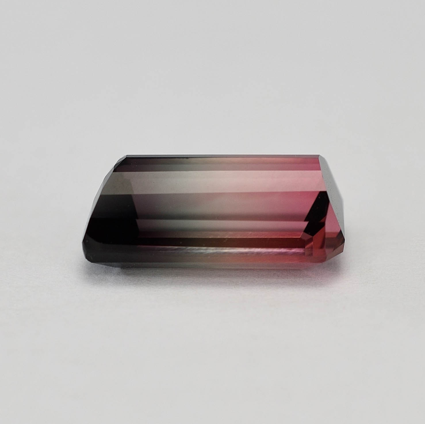 TriColorTourmaline eme dome 13.9 12.4x7.5mm 5.83cts N tm1243 g