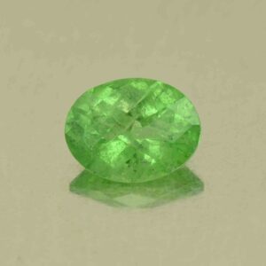 Tsavorite ch oval 8.5x6.6mm 1.69cts N ts523