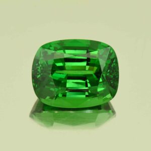 Tsavorite cush 15.61x12.28x8.96mm 14.49cts N ts332 a SOLD
