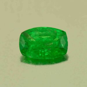 Tsavorite cush 8.6x5.8mm 1.37cts N ts658