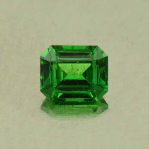 Tsavorite eme cut 3.9x3.2mm 0.27cts N ts565