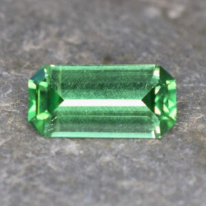 Tsavorite eme cut 8.0x4.0mm 0.73cts N b ts250 crop