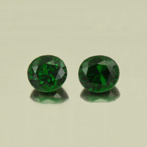 Tsavorite oval 6.0x5.6mm 1.07cts N ts284 a combo