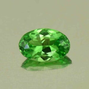 Tsavorite oval 6.5x4.4mm 0.59cts N ts603