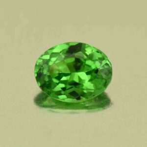 Tsavorite oval 6.8x5.3mm 0.91cts N ts619