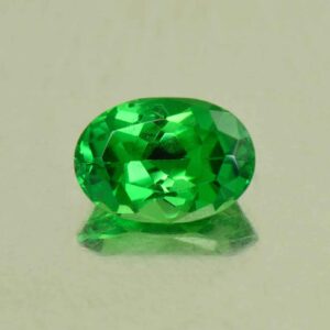 Tsavorite oval 7.0x4.9mm 0.96cts N ts666 SOLD