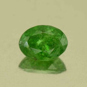 Tsavorite oval 8.1x6.0mm 1.66cts N ts631
