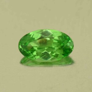 Tsavorite oval 8.3x4.9mm 0.92cts N ts632