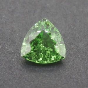 Tsavorite trillion 6.8mm 1.15cts N ts248 crop