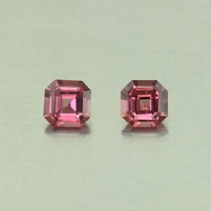UmbaliteGarnet sq eme cut pair 4.0mm 0.77cts N ug856