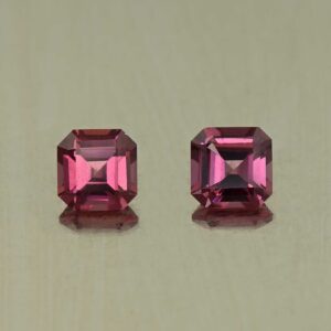 UmbaliteGarnet sq eme cut pair 4.5mm 1.13cts N ug1312