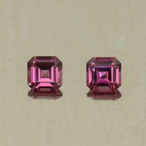 UmbaliteGarnet sq eme cut pair 4.5mm 1.13cts N ug1313
