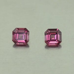 UmbaliteGarnet sq eme cut pair 4.6mm 1.12cts N ug862