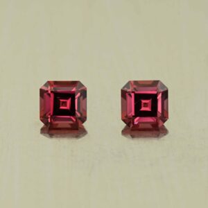 UmbaliteGarnet sq eme cut pair 4.6mm 1.25cts N ug1316