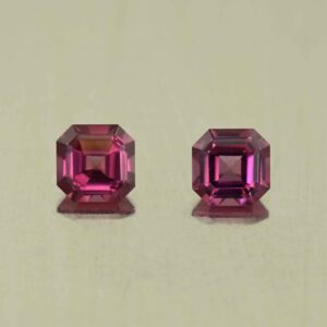 UmbaliteGarnet sq eme cut pair 4.9mm 1.41cts N ug1317 scaled 1