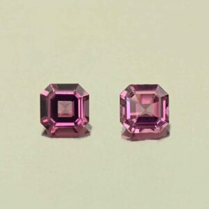 UmbaliteGarnet sq eme cut pair 5.0mm 1.33cts N ug1318