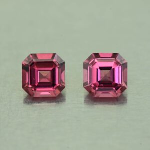 UmbaliteGarnet sq eme cut pair 5.0mm 1.44cts N ug1237 SOLD