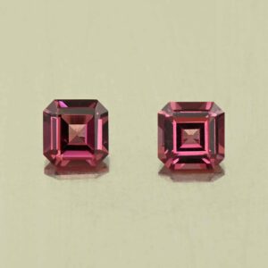 UmbaliteGarnet sq eme cut pair 5.0mm 1.48cts N ug1321